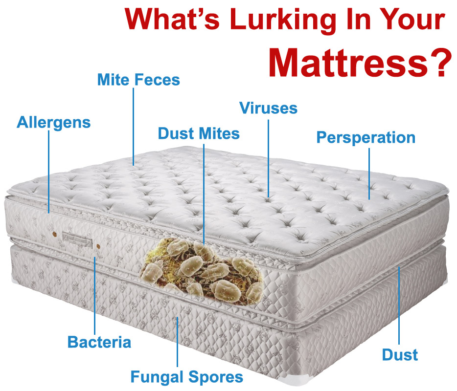 Dallas furniture cleaning service