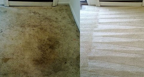 Dallas carpet cleaning services