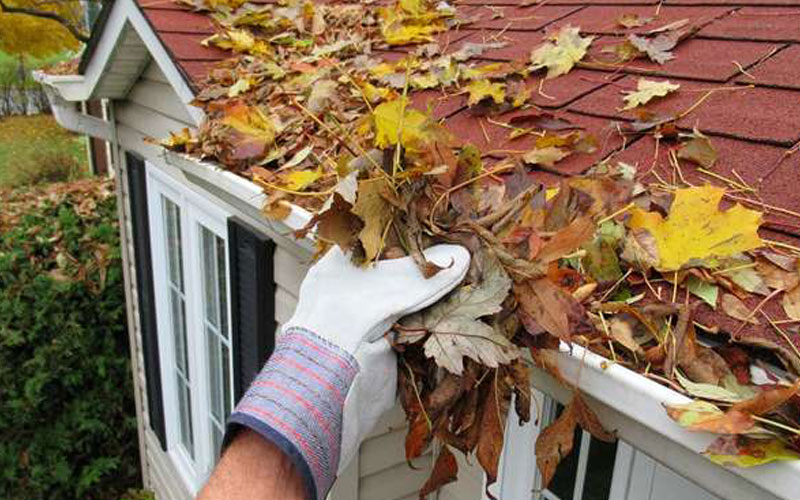 Dallas window cleaning